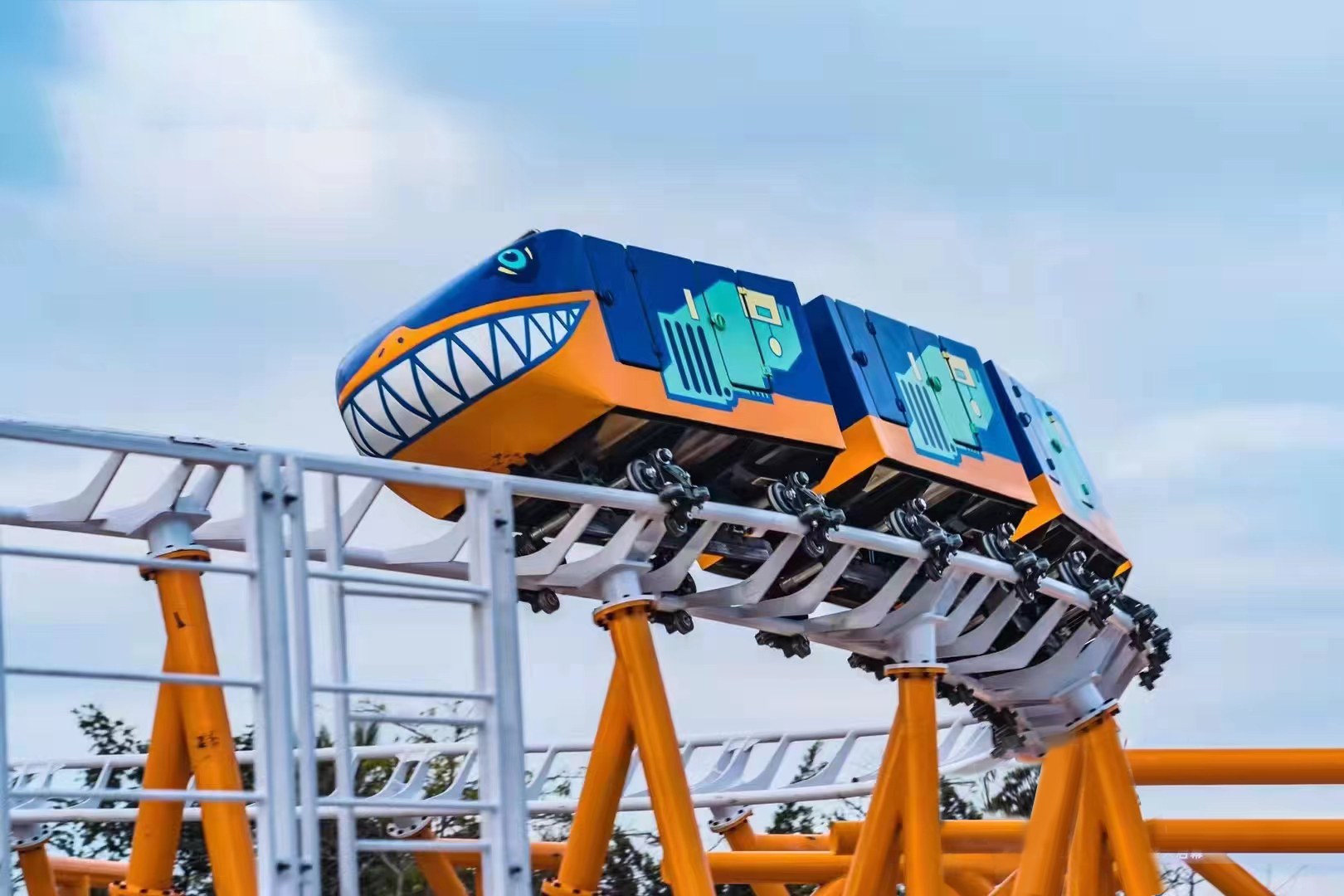 Family Roller Coaster