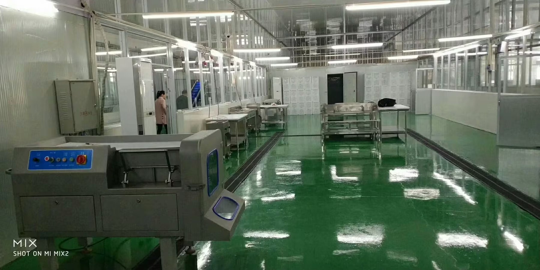 Vegetable Processing Line