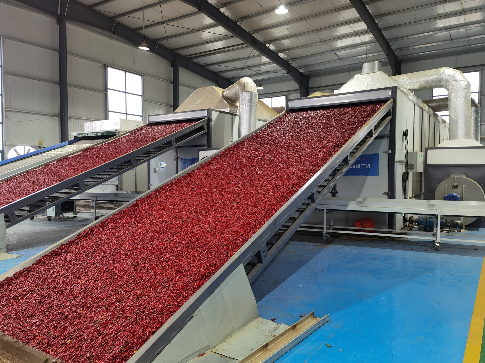 Fruit Chips Production Line