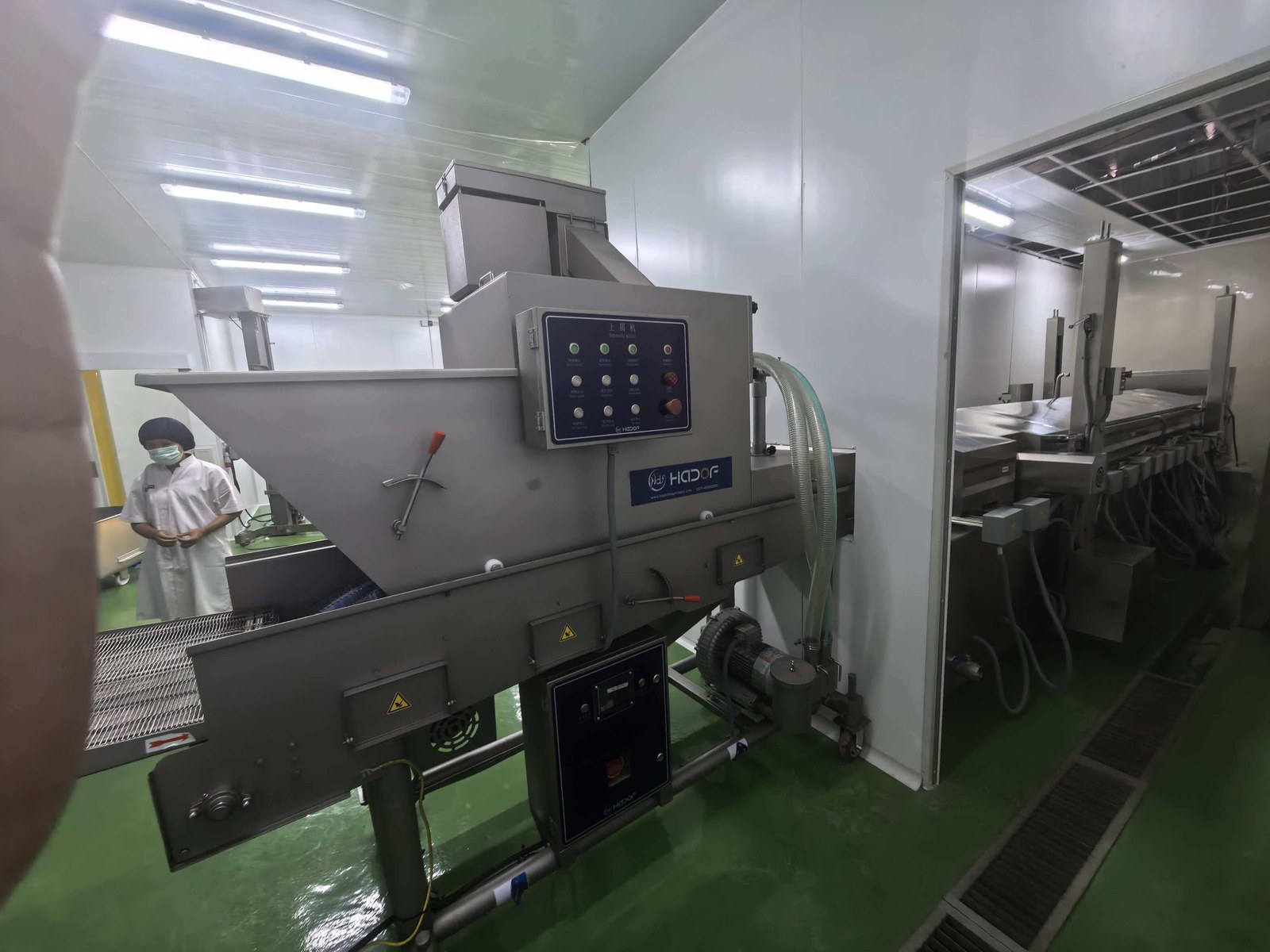 Fried Food Processing Line