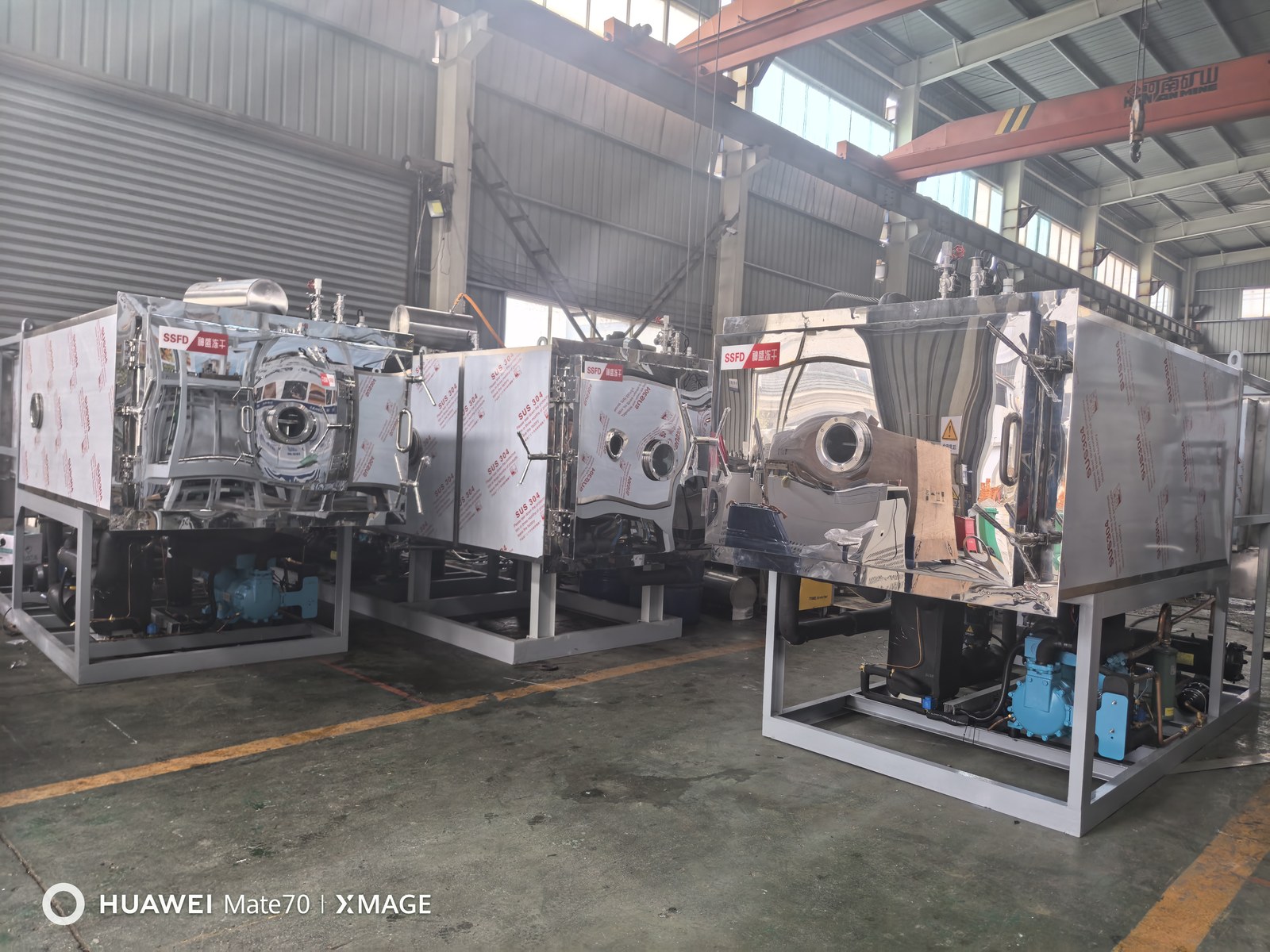 Freeze Drying Production Line